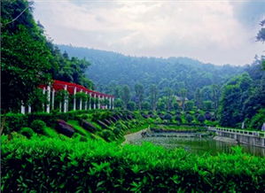 長沙岳麓區(qū) 谷豐生態(tài)園