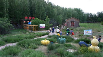 九城宮生態(tài)園圖冊