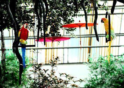 賈洲生態(tài)園 百科