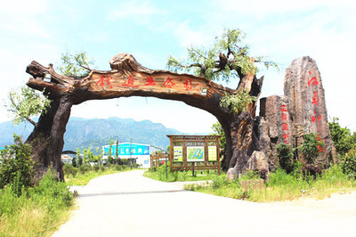 生態(tài)園大門_假樹大門設(shè)計(jì)原則