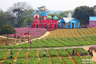 東莞松湖生態(tài)園團隊旅游休閑度假田園生活戶外農(nóng)家樂