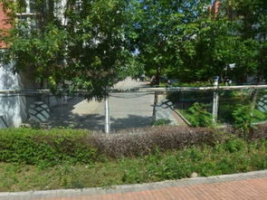 生態園八區 城市綠肺中的生態奇跡